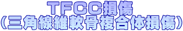 @@@TFCC iOpۓ̑j